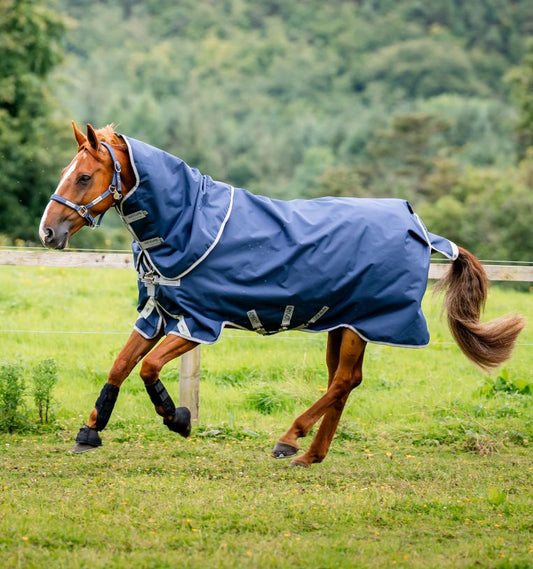 Horseware - Amigo® Bravo 12 Plus (Moyen 250g)