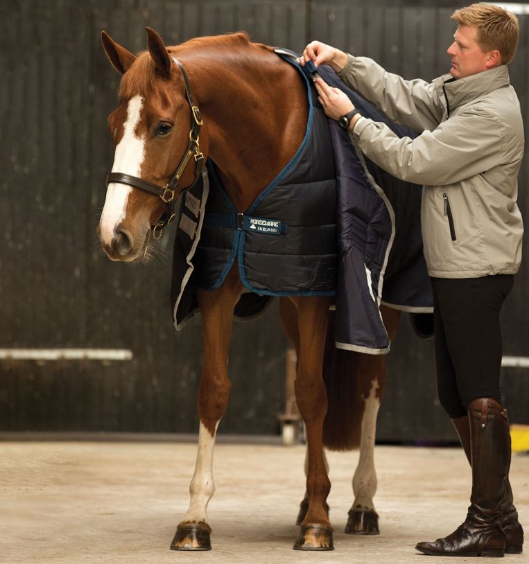 Horseware - Liner 100g