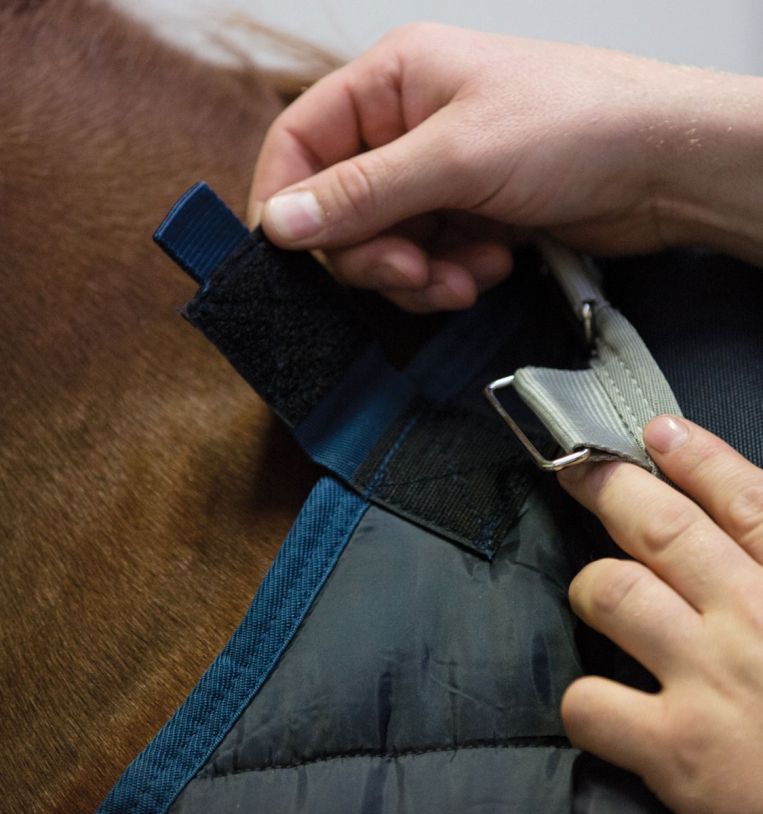 Horseware - Liner 100g