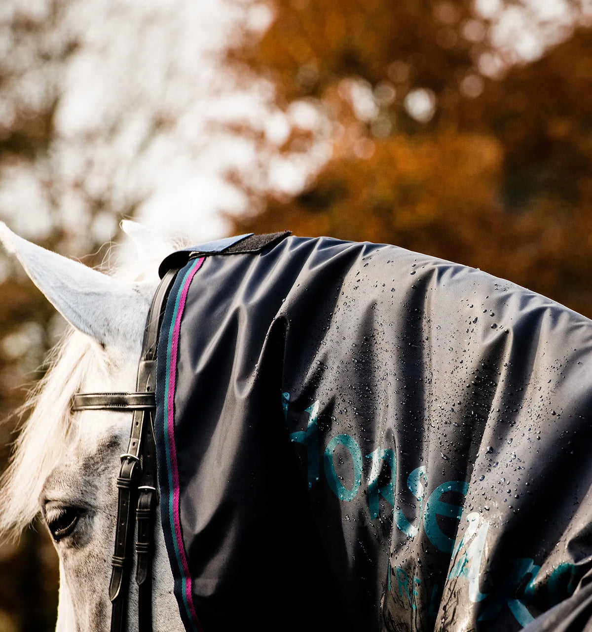 Horseware - Couverture Mack in sack
