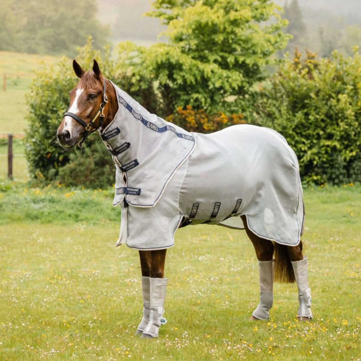Horseware - Rambo Optimo Protector plus